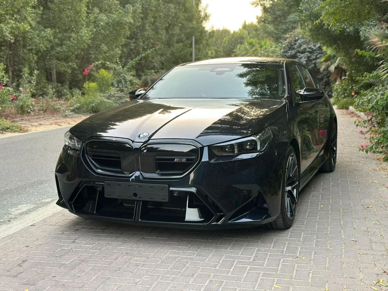 BMW M5 | 4.4L V8 Twin-Turbo  _2025
