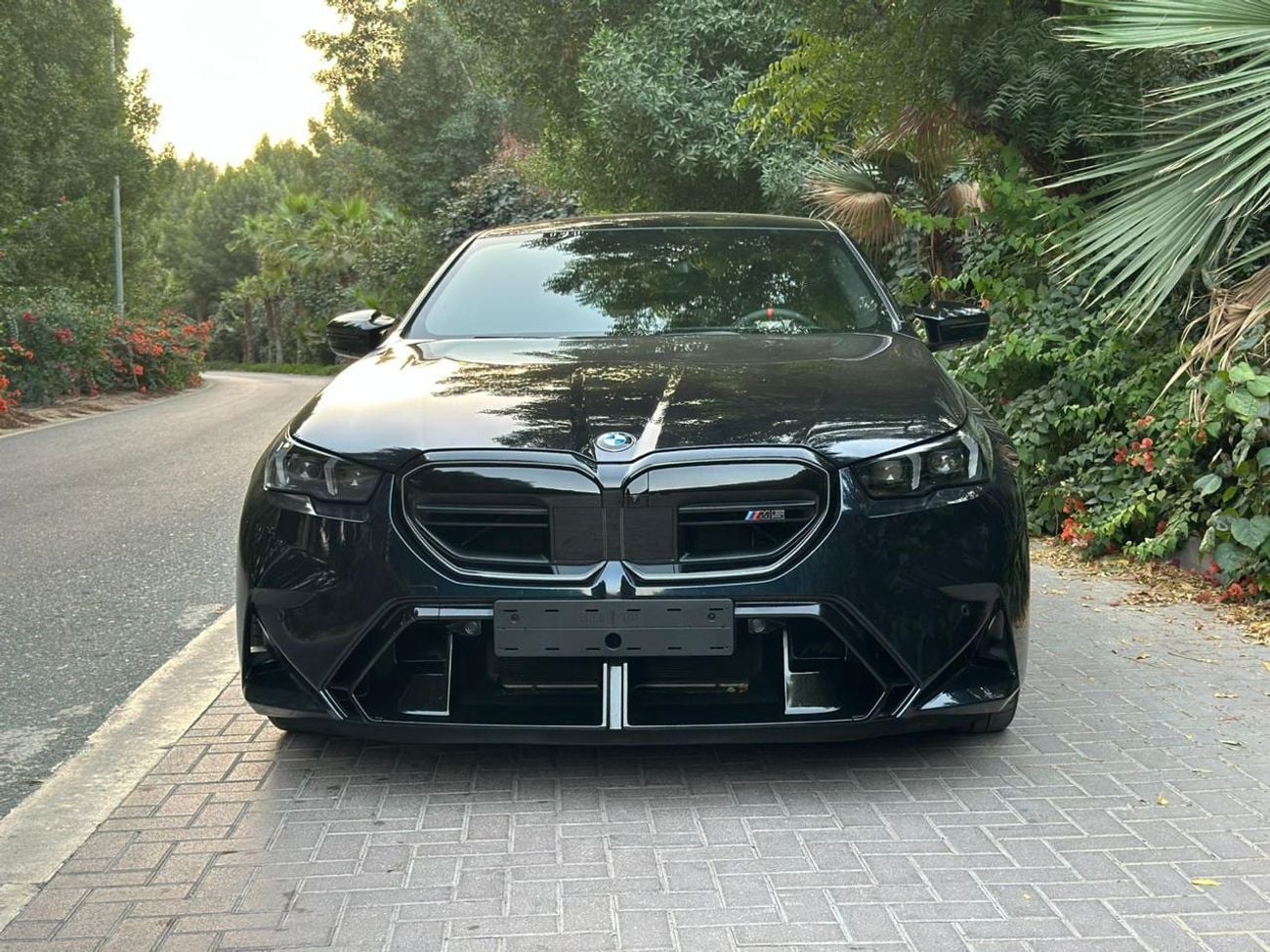 BMW M5 | 4.4L V8 Twin-Turbo  _2025