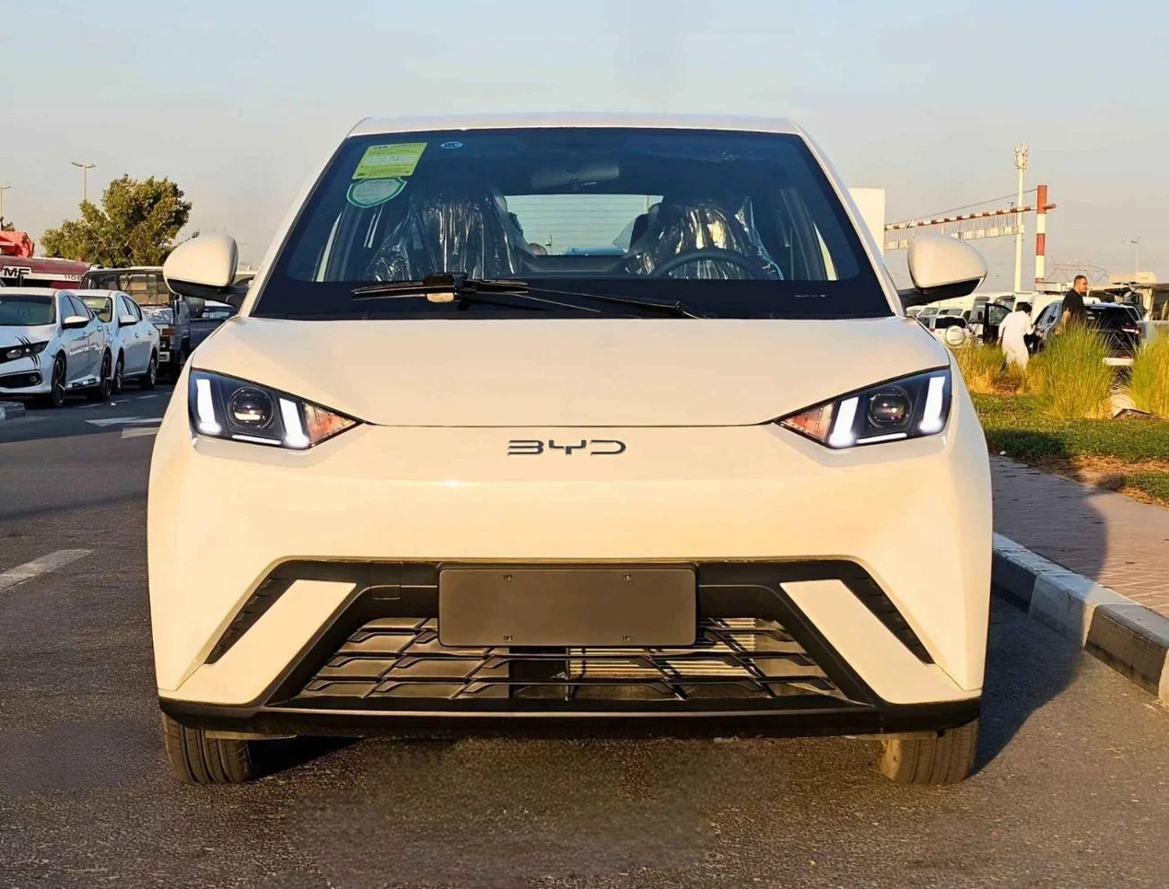 BYD Seagull FLYING EDITION  ELECTRIC  FULL OPTIO _ 2025