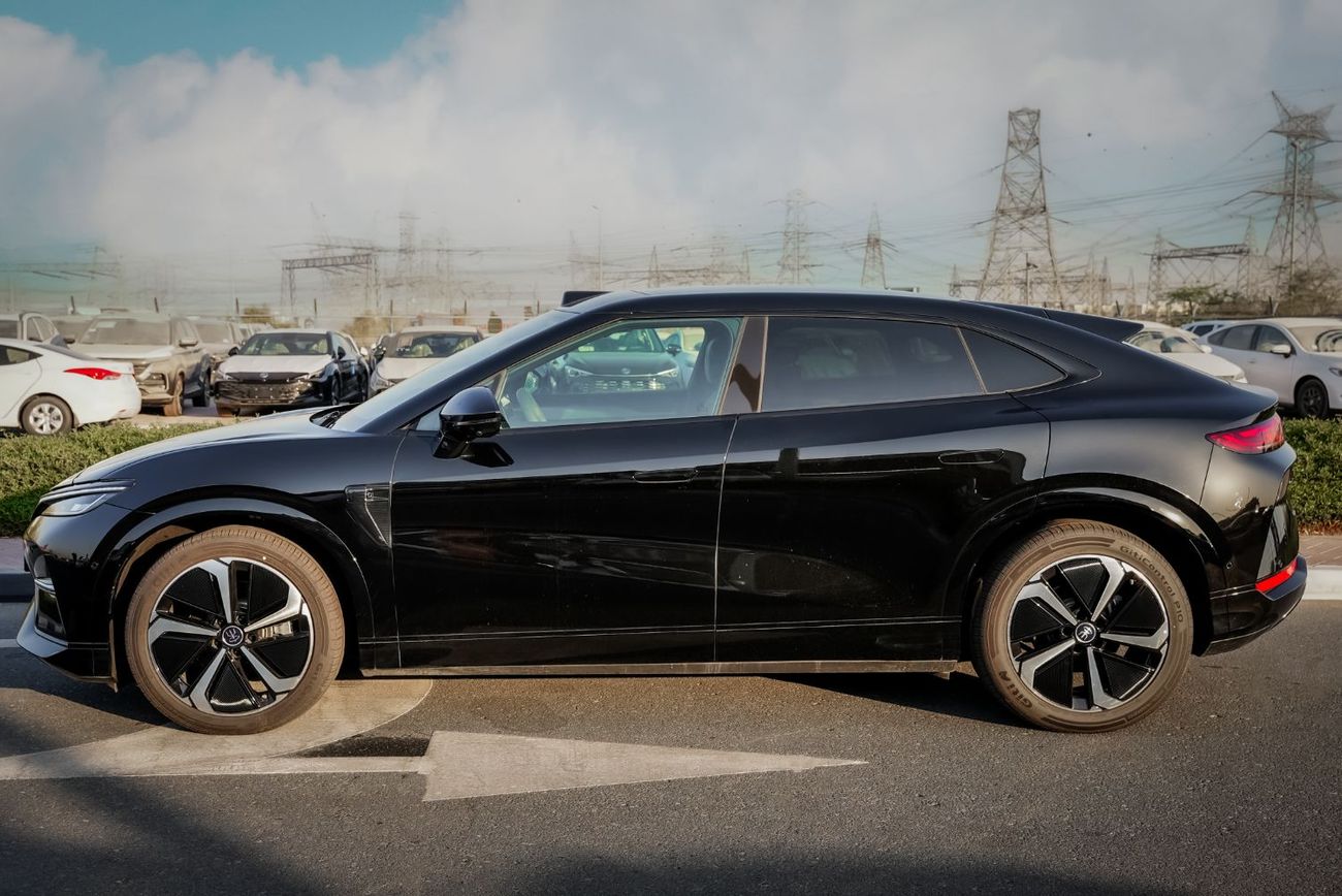 BYD Song L EV _ 2025
