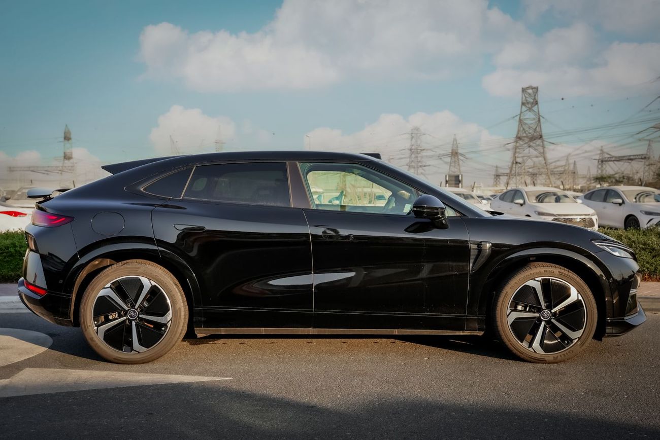 BYD Song L EV _ 2025