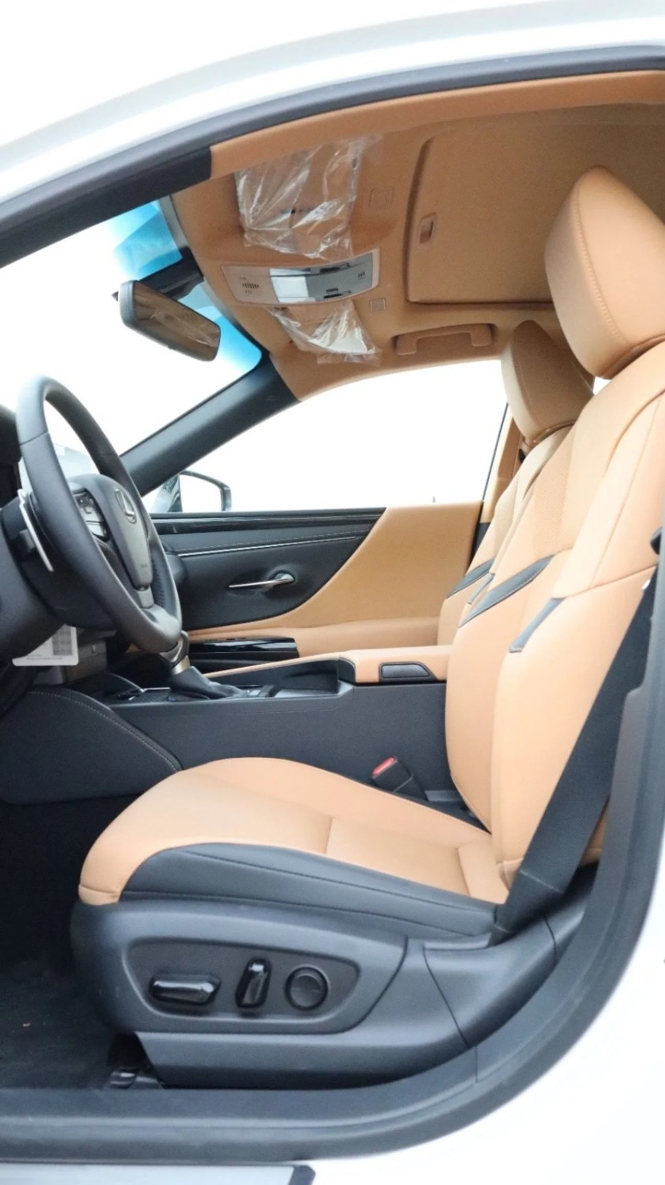 Lexus ES300h PLATINUM