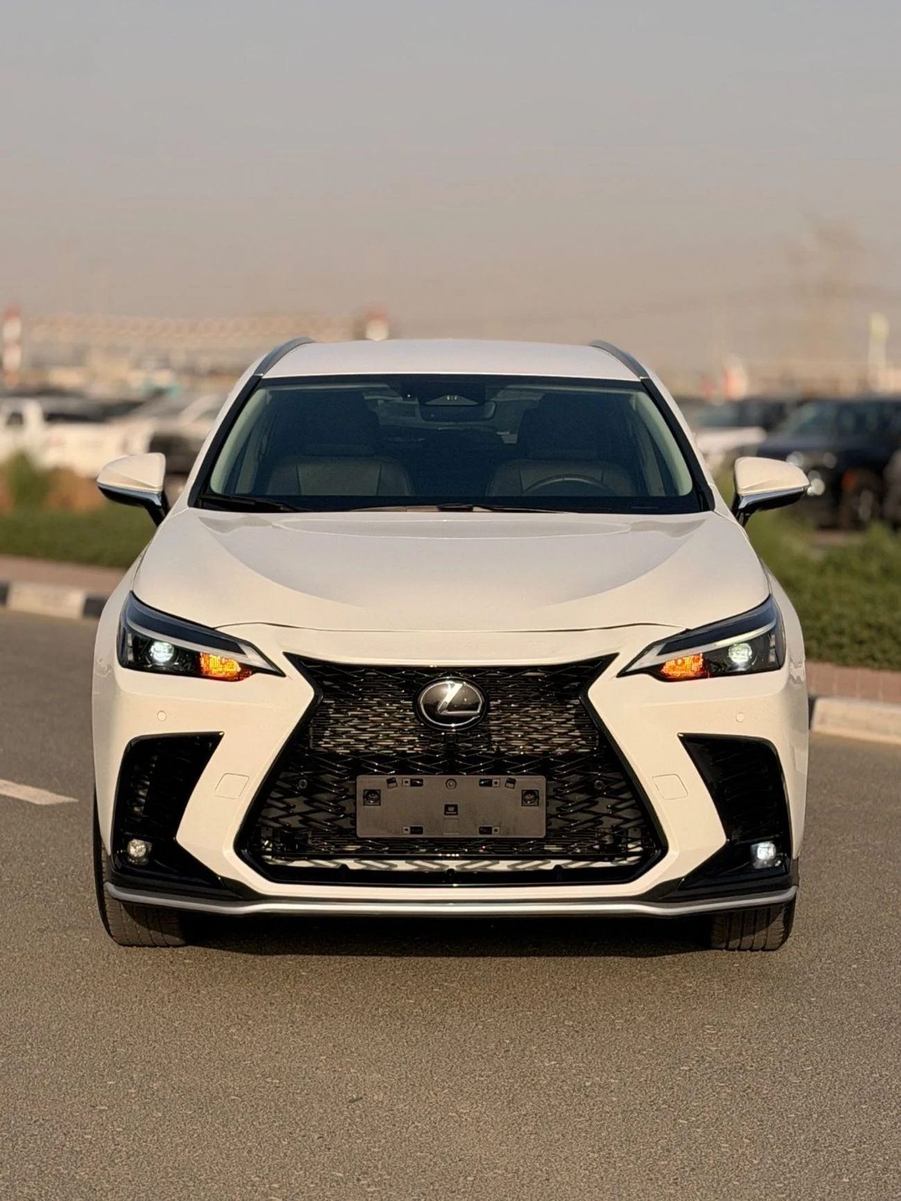 Lexus NX250 PREMIUM 2025