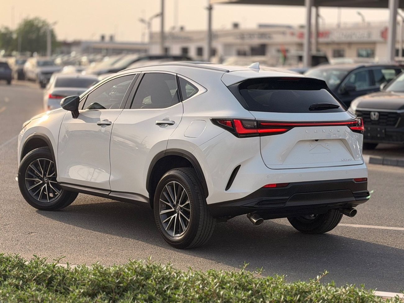 Lexus NX250 PREMIUM 2025