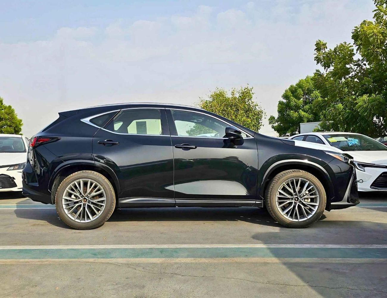 Lexus NX350 ELITE, OM / 2.4L PETROL BLACK