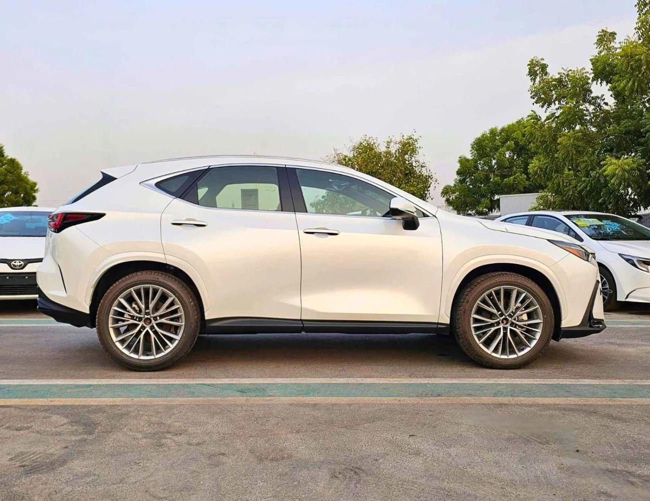Lexus NX350 ELITE, OM / 2.4L PETROL