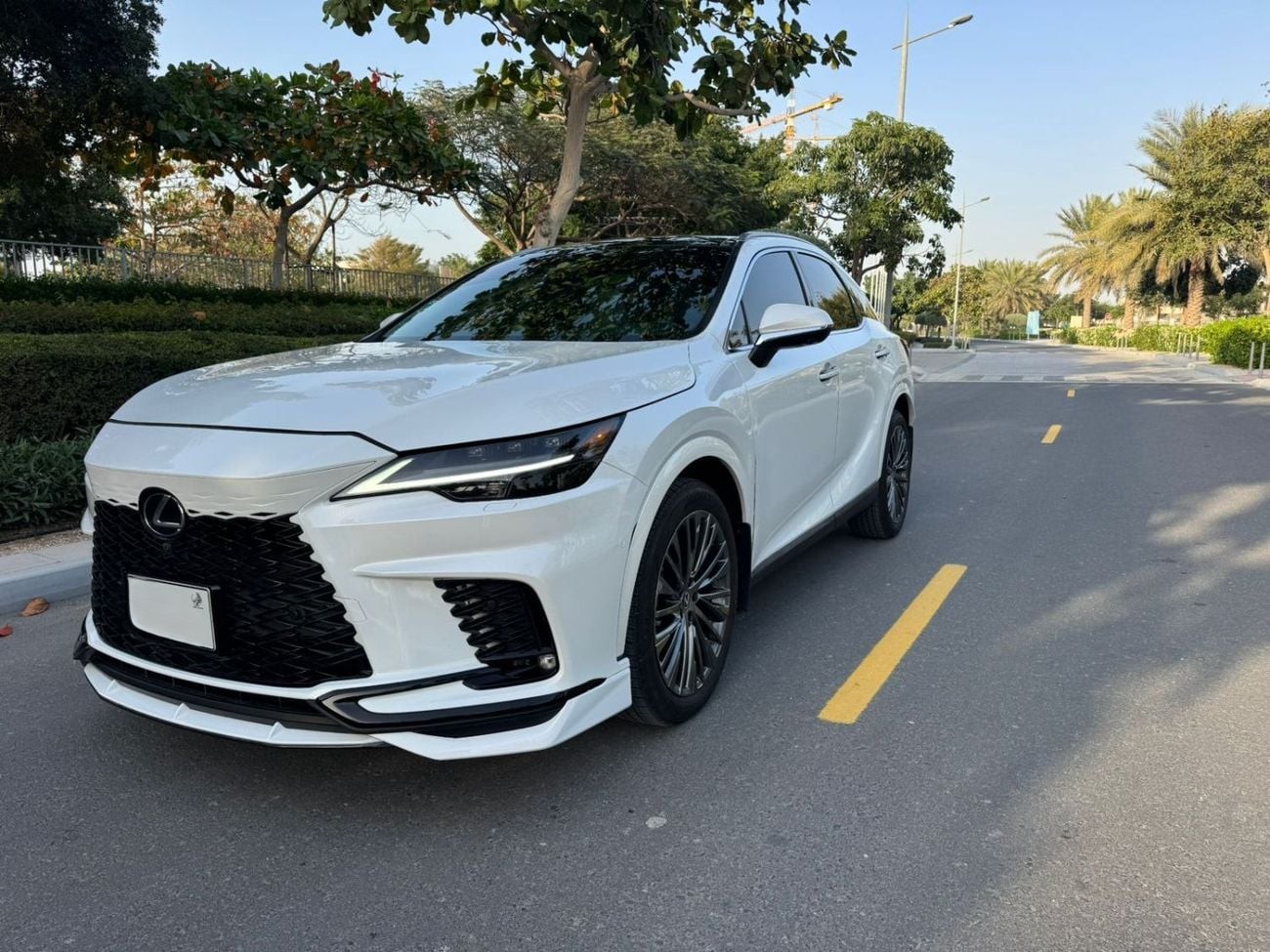 Lexus RX350 Platinum 2025