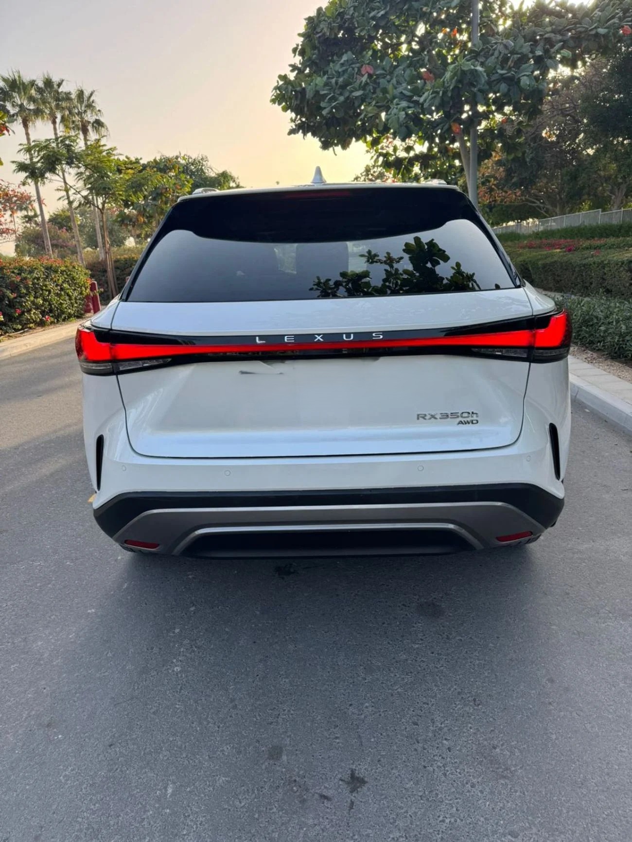 Lexus RX350 Platinum 2025