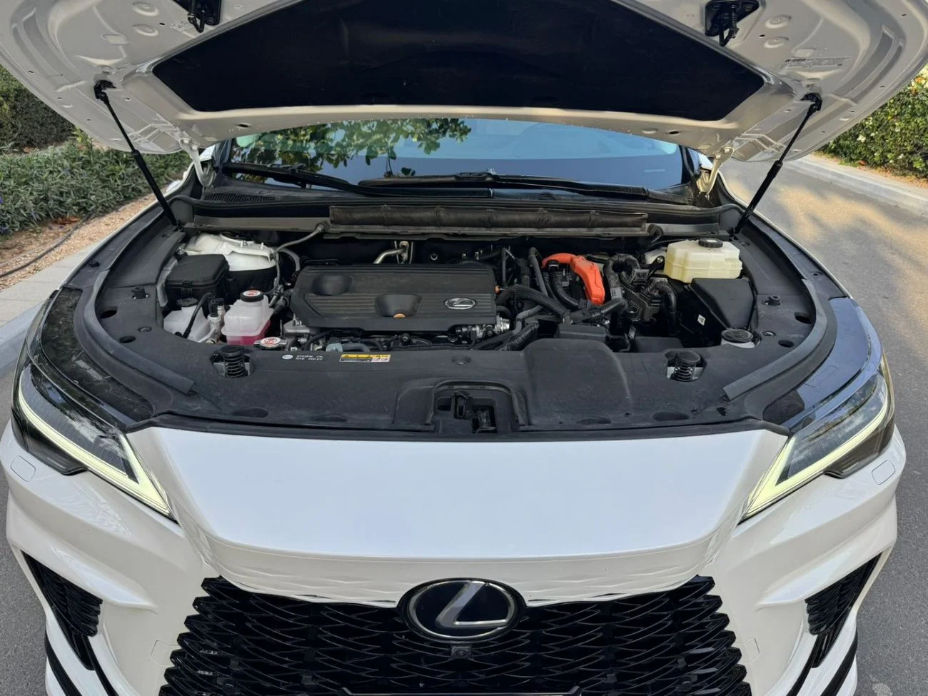 Lexus RX350 Platinum 2025