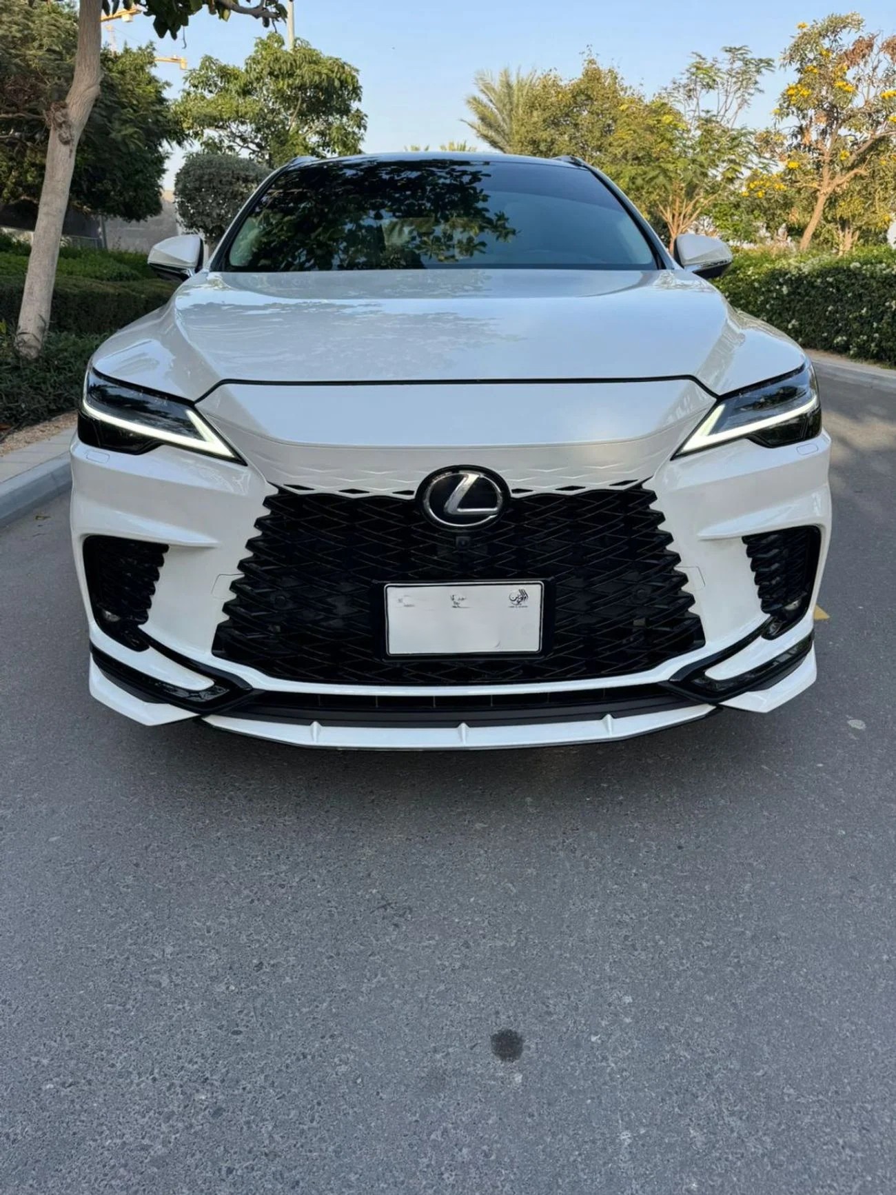 Lexus RX350 Platinum 2025