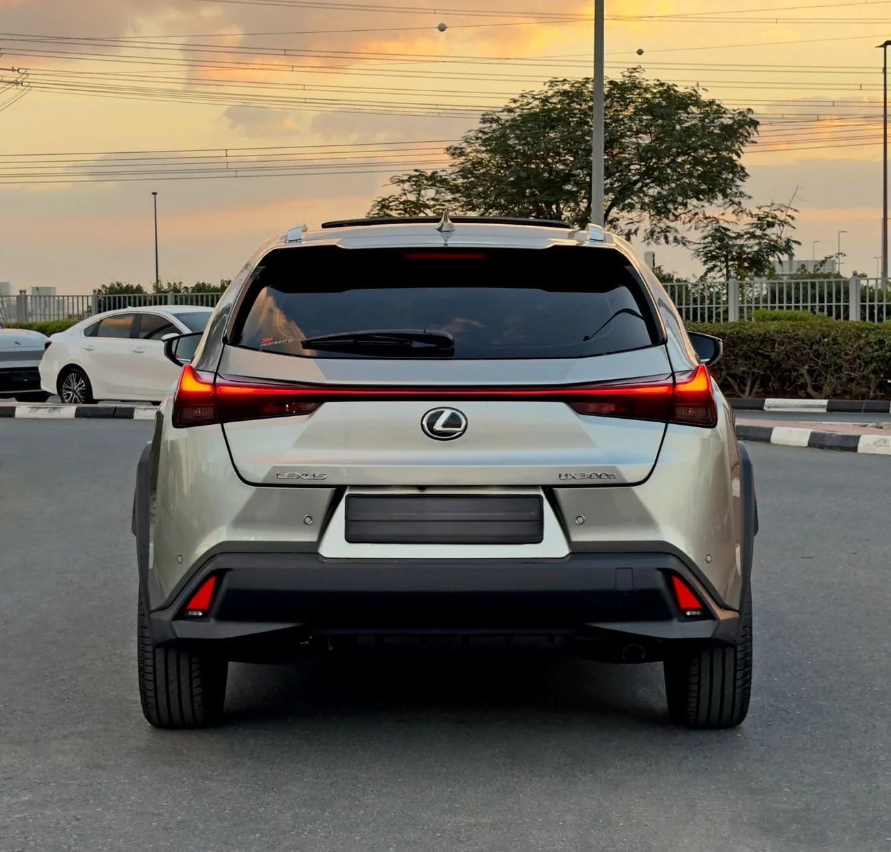 Lexus UX300h Premier 2.0L