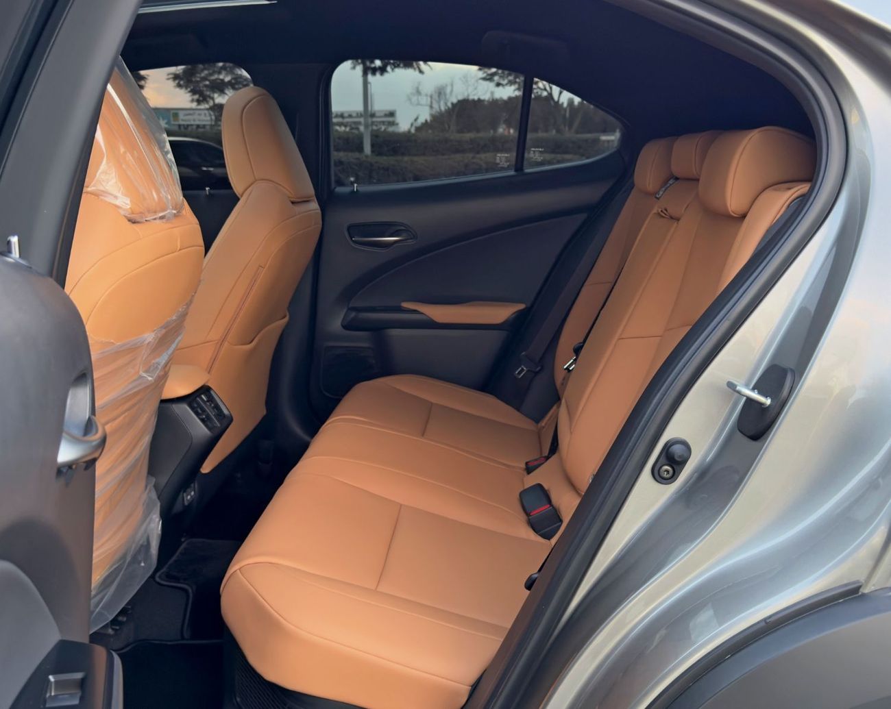 Lexus UX300h Premier 2.0L