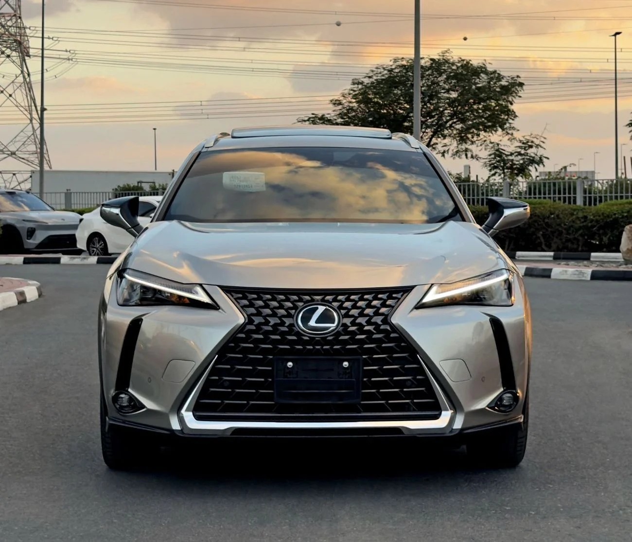 Lexus UX300h Premier 2.0L