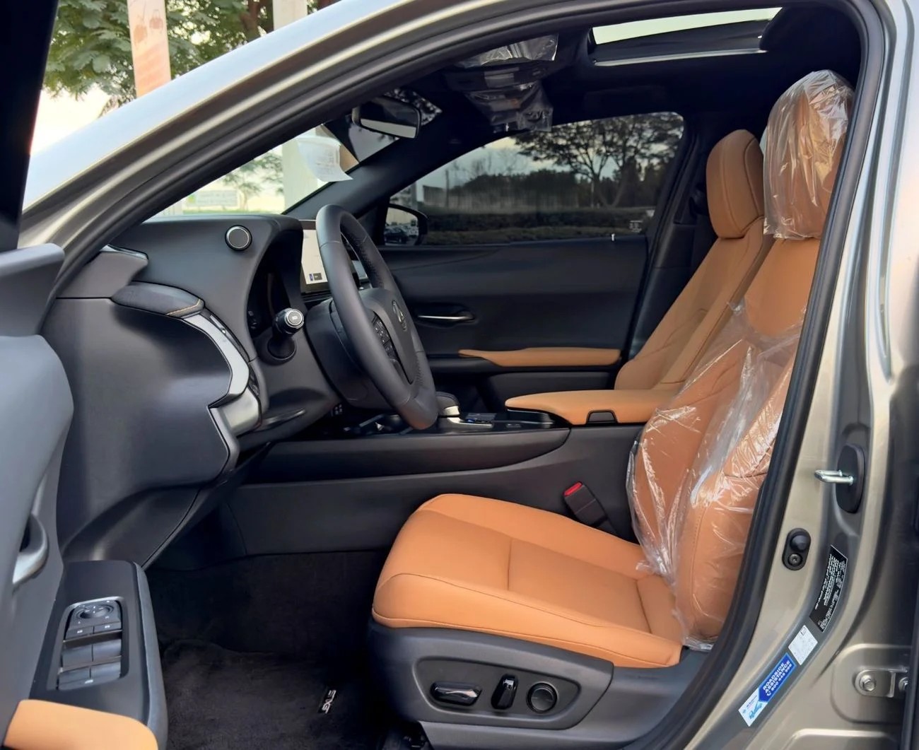 Lexus UX300h Premier 2.0L