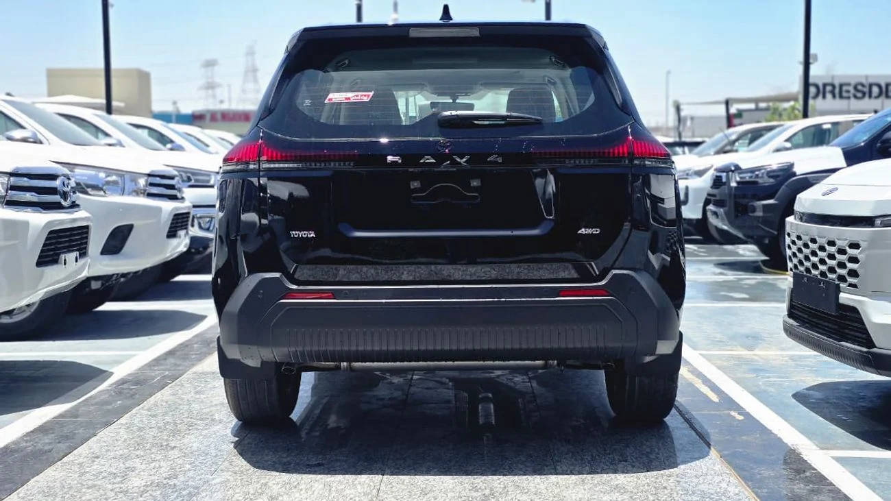 Toyota RAV4 LE _ BLACK